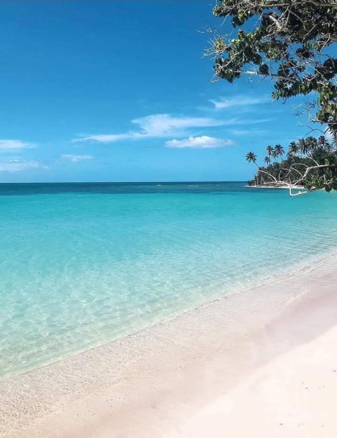 A Splash of Oasis near beautiful beaches & bars