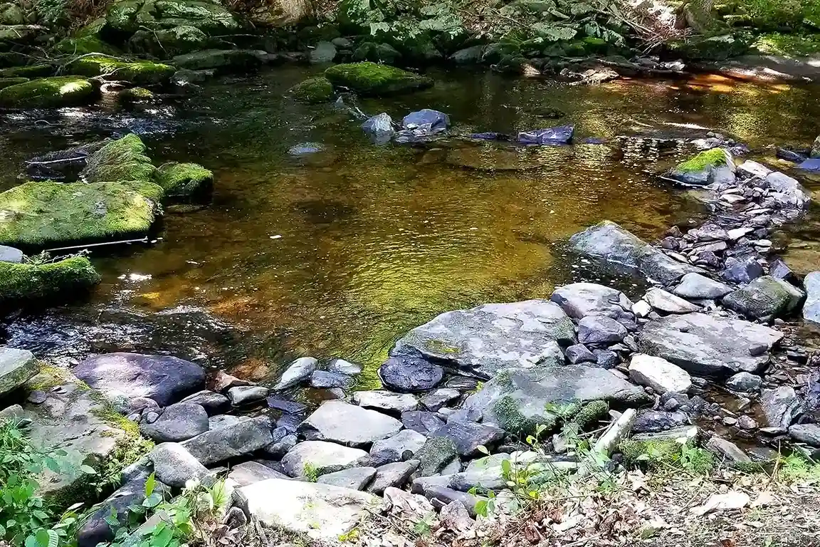 Freshwater creek